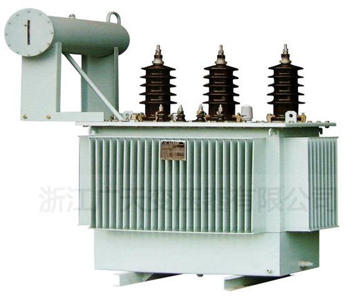 供应建筑工地标准临时配电箱及油浸式变压器