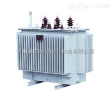 100kVA油浸式变压器概述及其在湖南配电变压器市场的报价分析