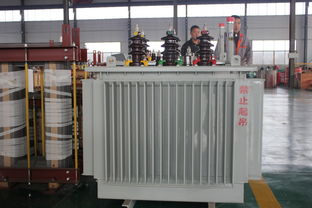 变压器油及其相关设备 滤油机、油浸式变压器与普通变压器油概述